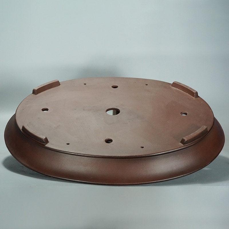 Oval Pot For Green Plants Potted Plants Jungle Gardening And Bonsaisimple And Minimalist
