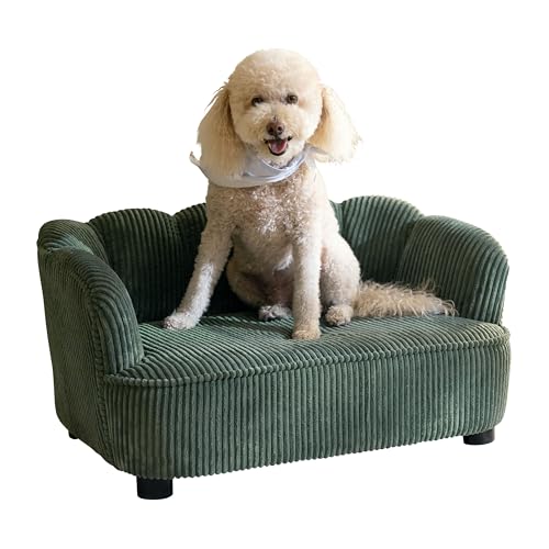 Paws & Purrs Retro Scalloped Back Sofa Style Pet Bed, Dog & Cat Couch with Tufted Cushion & Armrest, Stylish Indoor Pet Furniture, Sage Gronata