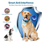 FAFAFROG Dog Bark Collar, Rechargeable Smart Collar, Anti Barking Training Collar with 5 Adjustable Sensitivity Beep Vibration, Bark Collar for Large Medium Small Dogs (Black) Gronata