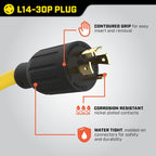 Champion 3-Foot 30-Amp 125/250-Volt Generator Y-Adapter (L14-30P to two 5-20R) Gronata