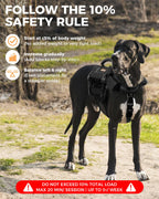 LISPOO Weighted Dog Vest and Collar Set with 4 Removable 0.88 lb Weight Blocks, No Sand Filling, Training Gear for Medium and Large Dogs, Walking, Conditioning, Muscle Building, M Gronata
