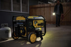 Champion Power Equipment 9375-Watt Dual Fuel Portable Generator with Electric Start and Free 3-Year Warranty Gronata