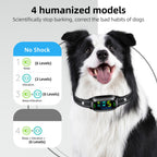 FAFAFROG Dog Bark Collar, Rechargeable Smart Collar, Anti Barking Training Collar with 5 Adjustable Sensitivity Beep Vibration, Bark Collar for Large Medium Small Dogs (Black) Gronata