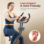 Sunny Health & Fitness Foldable Magnetic Stationary Exercise X-Bike Pro, 300 LB Capacity, Low-Impact, 14-Level Resistance, Ergonomic Support, SunnyFit App Enhanced Connectivity - SF-B223012 Gronata