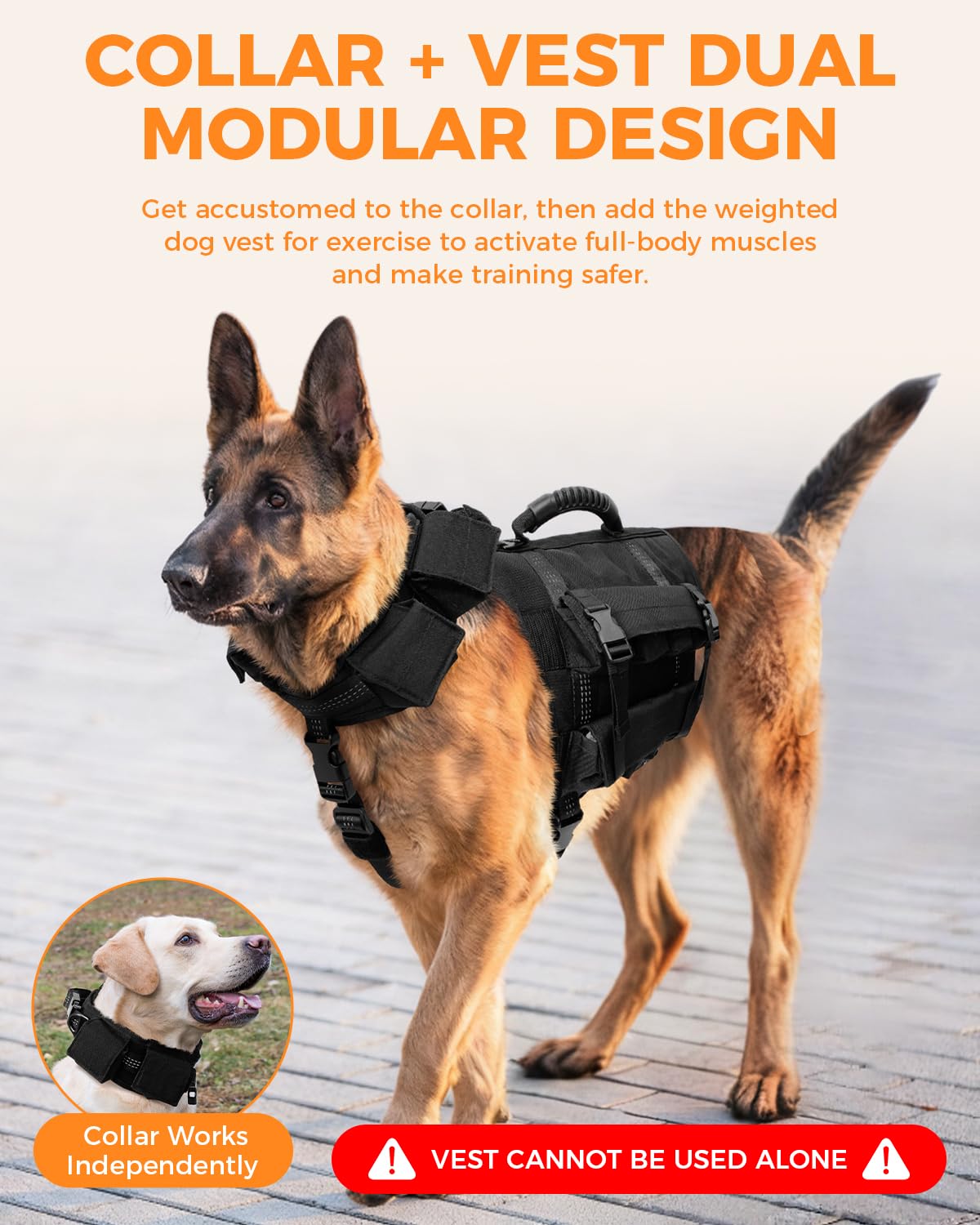 LISPOO Weighted Dog Vest and Collar Set with 4 Removable 0.88 lb Weight Blocks, No Sand Filling, Training Gear for Medium and Large Dogs, Walking, Conditioning, Muscle Building, M Gronata