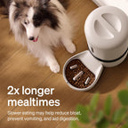 PETLIBRO Automatic Cat Feeder, 5G WiFi Automatic Dog Food Dispenser with Freshness Preservation, 5L Timed Pet Feeder with Low Food Sensor, Up to 10 Meals Per Day Gronata