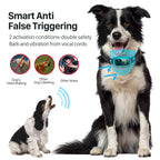 FAFAFROG Dog Bark Collar, Rechargeable Smart Collar, Anti Barking Training Collar with 5 Adjustable Sensitivity Beep Vibration, Bark Collar for Large Medium Small Dogs (Black) Gronata