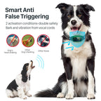 FAFAFROG Dog Bark Collar, Rechargeable Smart Collar, Anti Barking Training Collar with 5 Adjustable Sensitivity Beep Vibration, Bark Collar for Large Medium Small Dogs (Black) Gronata