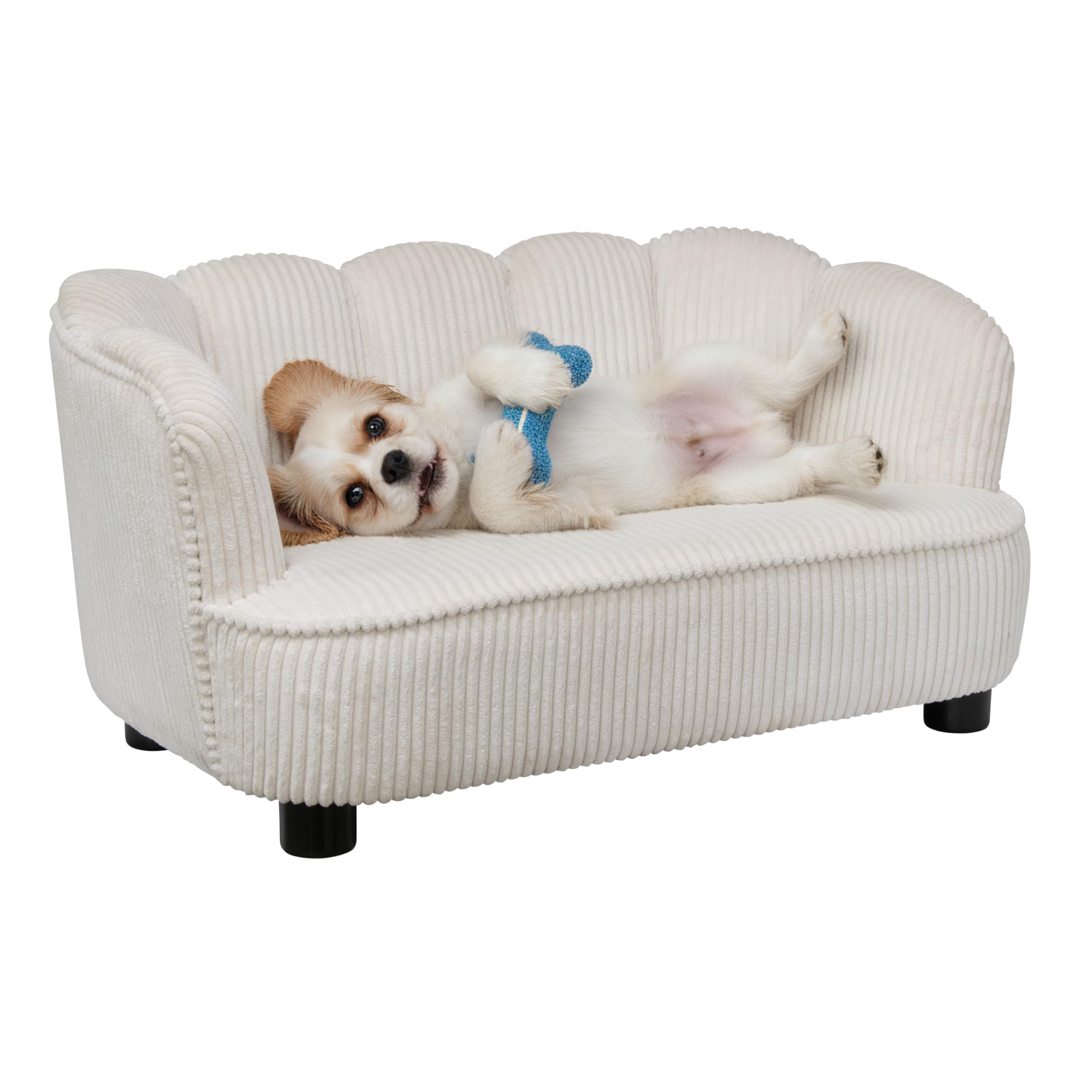 Paws & Purrs Retro Scalloped Back Sofa Style Pet Bed, Dog & Cat Couch with Tufted Cushion & Armrest, Stylish Indoor Pet Furniture, Sage Gronata