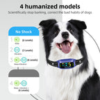 FAFAFROG Dog Bark Collar, Rechargeable Smart Collar, Anti Barking Training Collar with 5 Adjustable Sensitivity Beep Vibration, Bark Collar for Large Medium Small Dogs (Black) Gronata