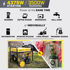 Champion Power Equipment 4375-Watt Wireless Remote Start RV Ready Portable Generator with Free 3-Year Warranty Gronata