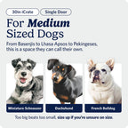 MidWest Homes for Pets 30-Inch iCrate for Medium Breeds, 21-40 lbs, Single Door Folding Dog Crate with Divider Panel, Leak-Proof Tray & Secure Latch, Portable, Durable & Easy to Assemble Gronata