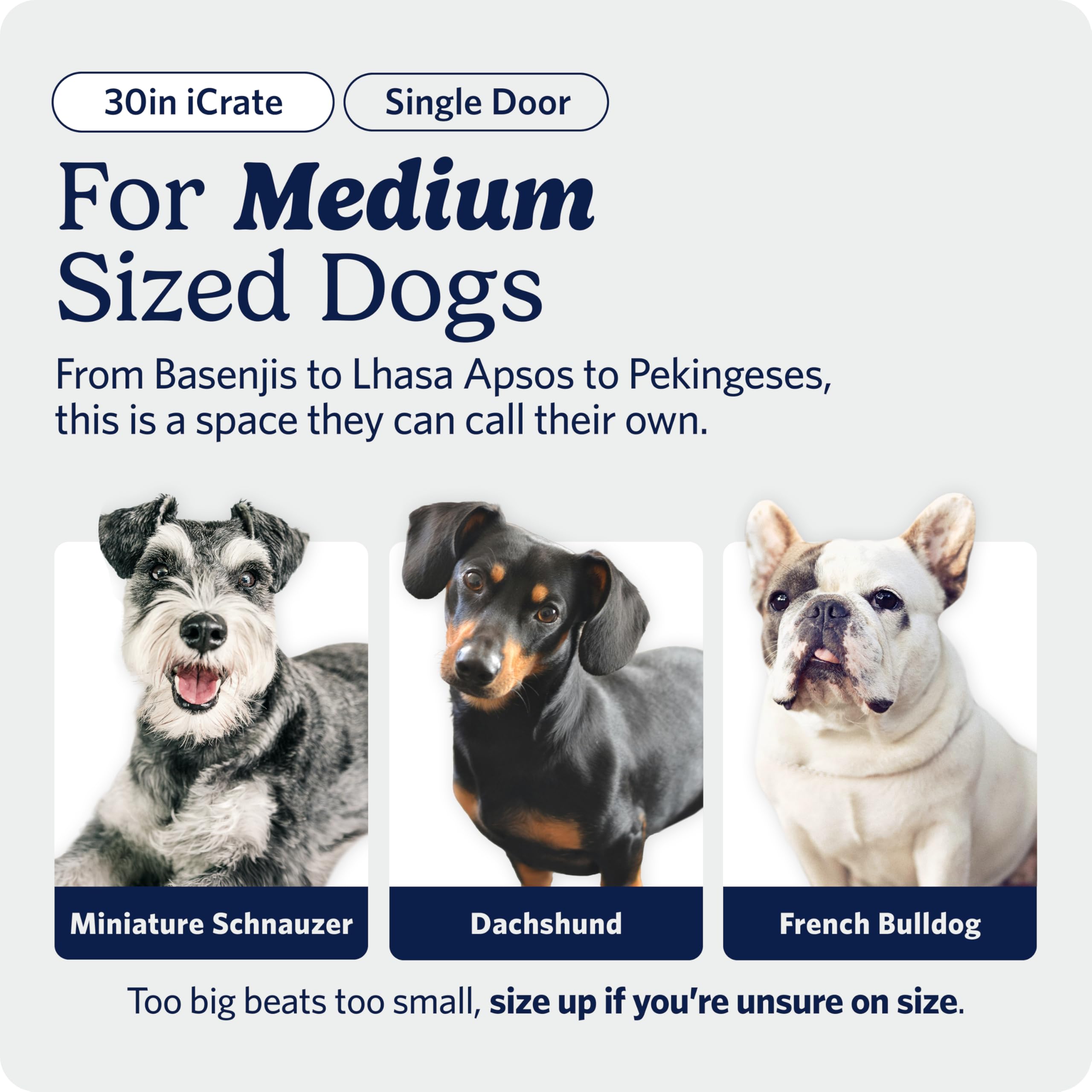 MidWest Homes for Pets 30-Inch iCrate for Medium Breeds, 21-40 lbs, Single Door Folding Dog Crate with Divider Panel, Leak-Proof Tray & Secure Latch, Portable, Durable & Easy to Assemble Gronata