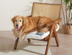 Couch Cushion Cover for dogs Sofa Cover Washable Pet Love Seat Couch Covers for Sofa Slipcovers Couch Protector Blanket for Dogs Sofa Cushion Covers for Pets Washable Pad Black 70x150cm/27.6x59in Gronata