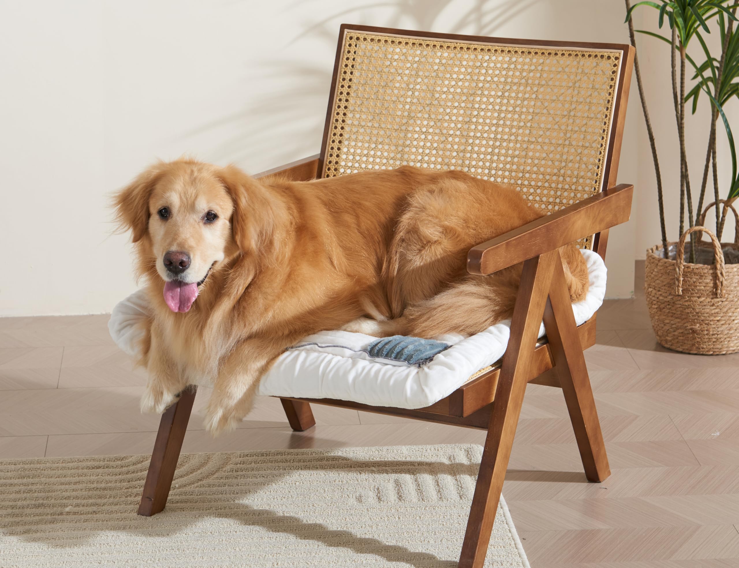 Couch Cushion Cover for dogs Sofa Cover Washable Pet Love Seat Couch Covers for Sofa Slipcovers Couch Protector Blanket for Dogs Sofa Cushion Covers for Pets Washable Pad Black 70x150cm/27.6x59in Gronata