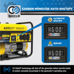 Champion Power Equipment 4375-Watt RV Ready Portable Generator with Free 3-Year Warranty Gronata