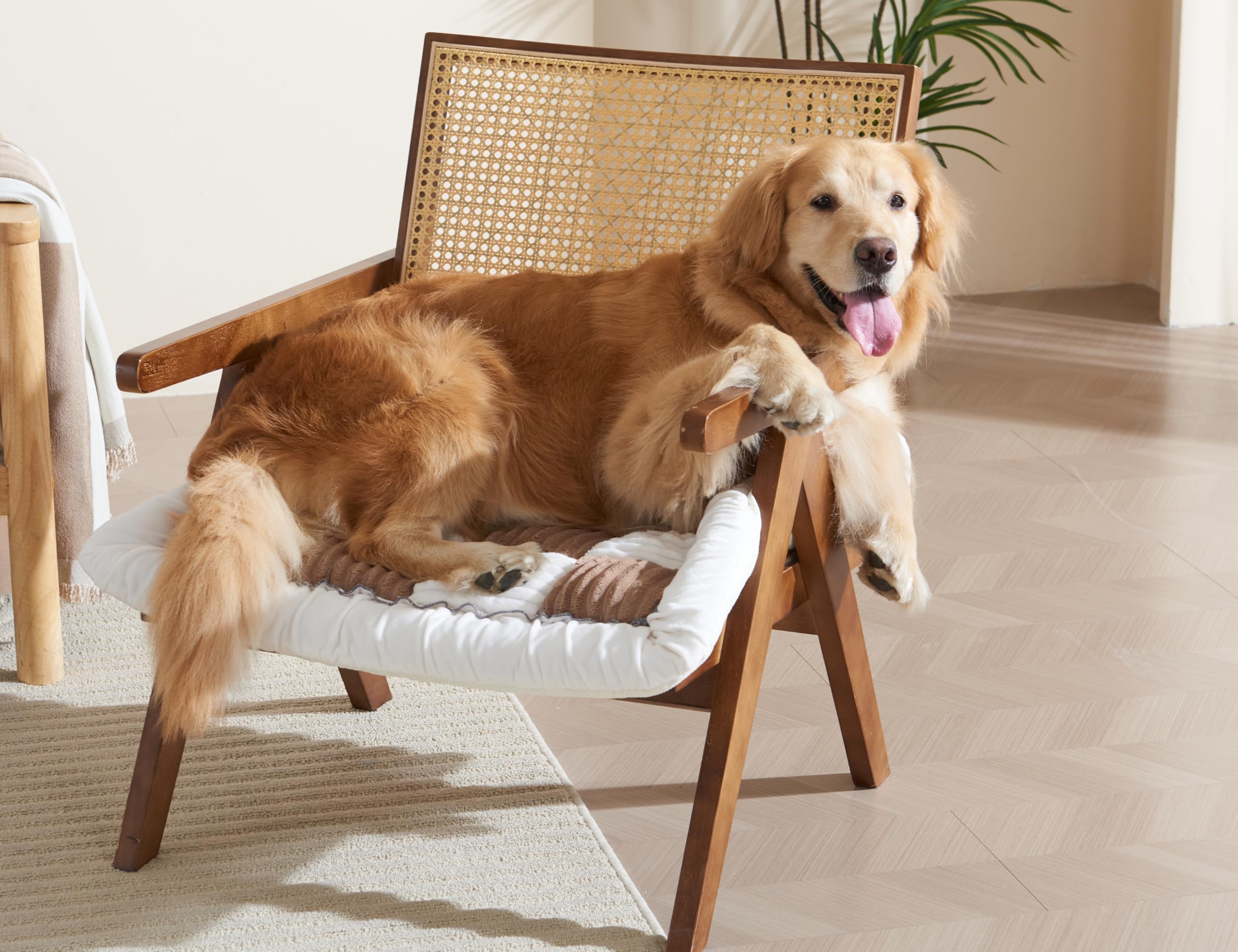 Couch Cushion Cover for dogs Sofa Cover Washable Pet Love Seat Couch Covers for Sofa Slipcovers Couch Protector Blanket for Dogs Sofa Cushion Covers for Pets Washable Pad Black 70x150cm/27.6x59in Gronata