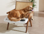 Couch Cushion Cover for dogs Sofa Cover Washable Pet Love Seat Couch Covers for Sofa Slipcovers Couch Protector Blanket for Dogs Sofa Cushion Covers for Pets Washable Pad Black 70x150cm/27.6x59in Gronata