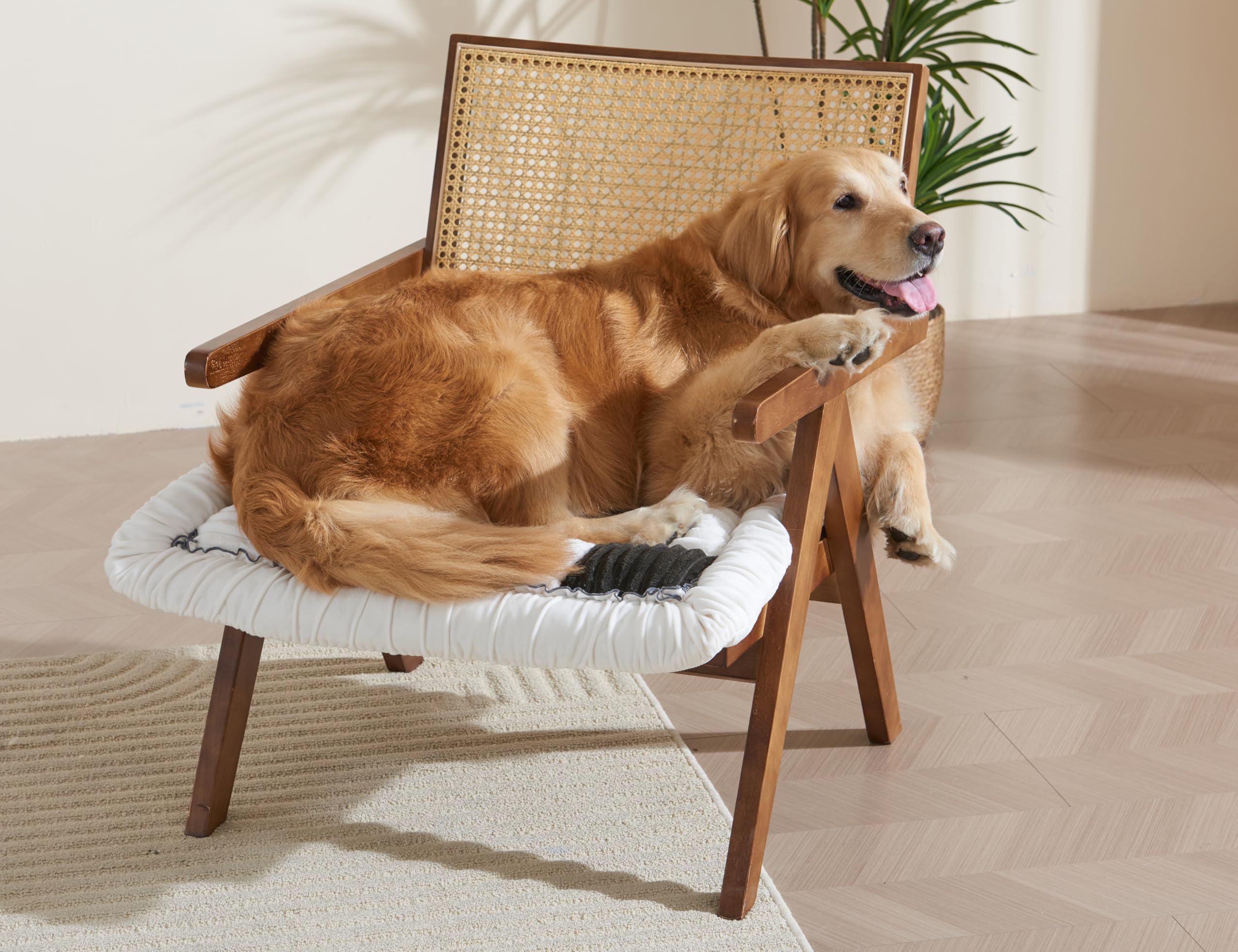 Couch Cushion Cover for dogs Sofa Cover Washable Pet Love Seat Couch Covers for Sofa Slipcovers Couch Protector Blanket for Dogs Sofa Cushion Covers for Pets Washable Pad Black 70x150cm/27.6x59in Gronata