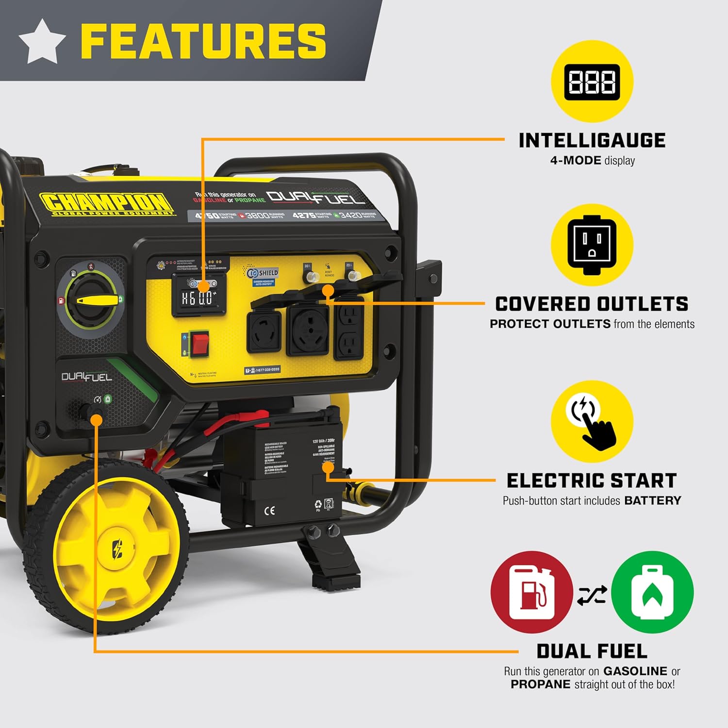Champion Power Equipment 4750-Watt Electric Start Dual Fuel RV Ready Portable Generator with Free 3-Year Warranty, CARB Compliant Gronata