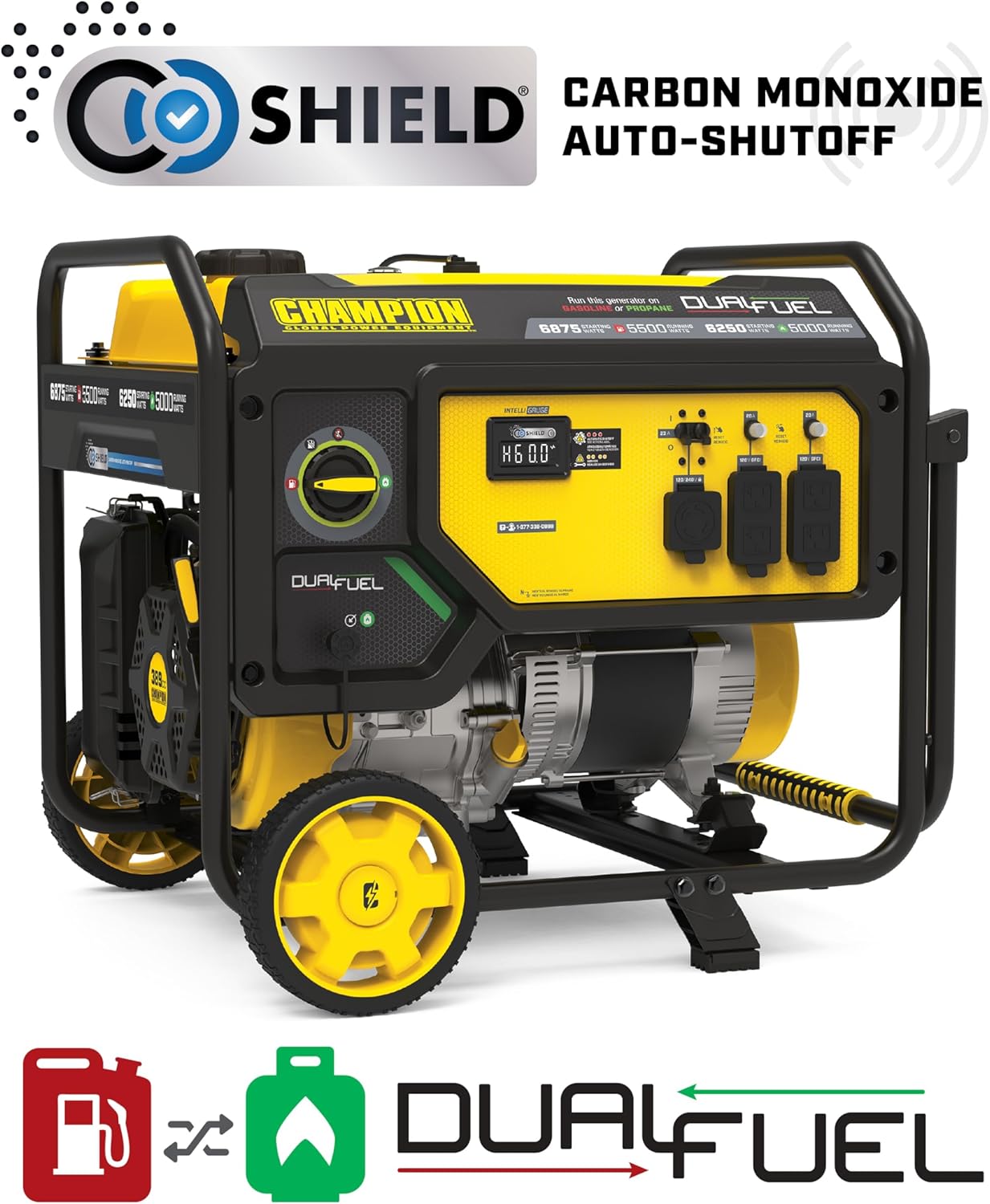 Champion Power Equipment 6875-Watt Dual Fuel Portable Generator with Free 3-Year Warranty Gronata