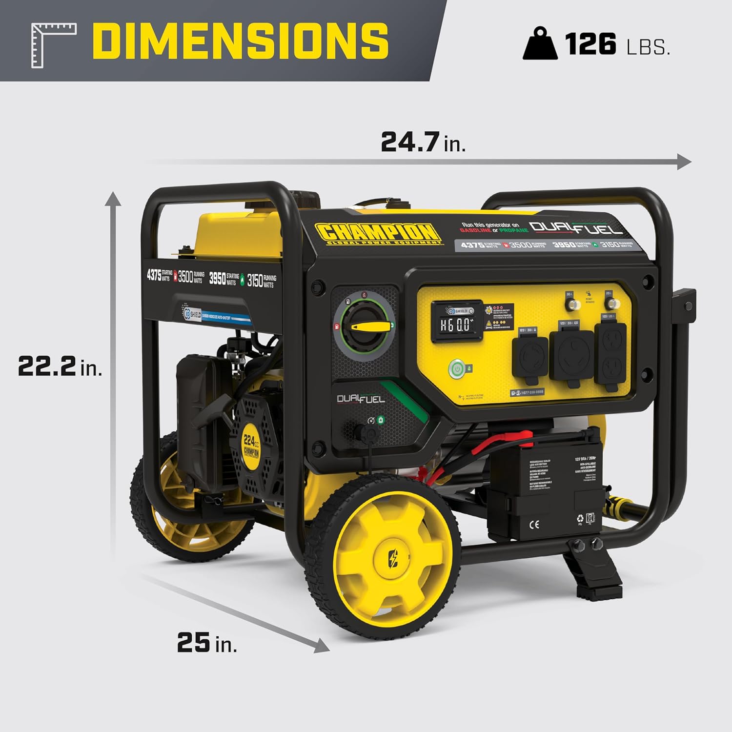 Champion Power Equipment 4375-Watt Wireless Start Dual Fuel RV Ready Portable Generator with Free 3-Year Warranty Gronata
