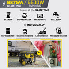 Champion Power Equipment 6875-Watt Dual Fuel Portable Generator with Free 3-Year Warranty Gronata