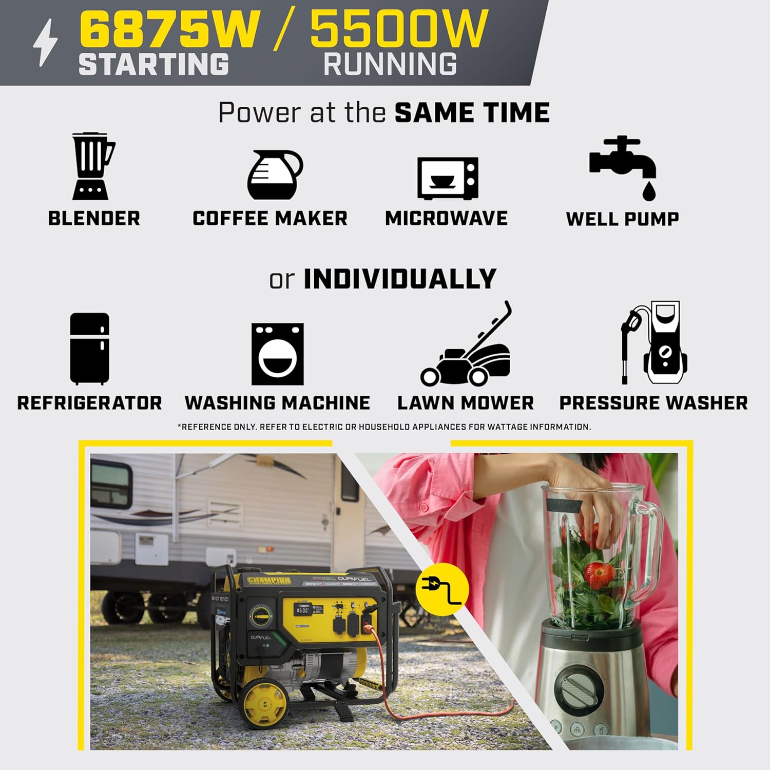 Champion Power Equipment 6875-Watt Dual Fuel Portable Generator with Free 3-Year Warranty Gronata