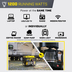 Champion Power Equipment 1500-Watt Portable Generator with Free 3-Year Warranty Gronata