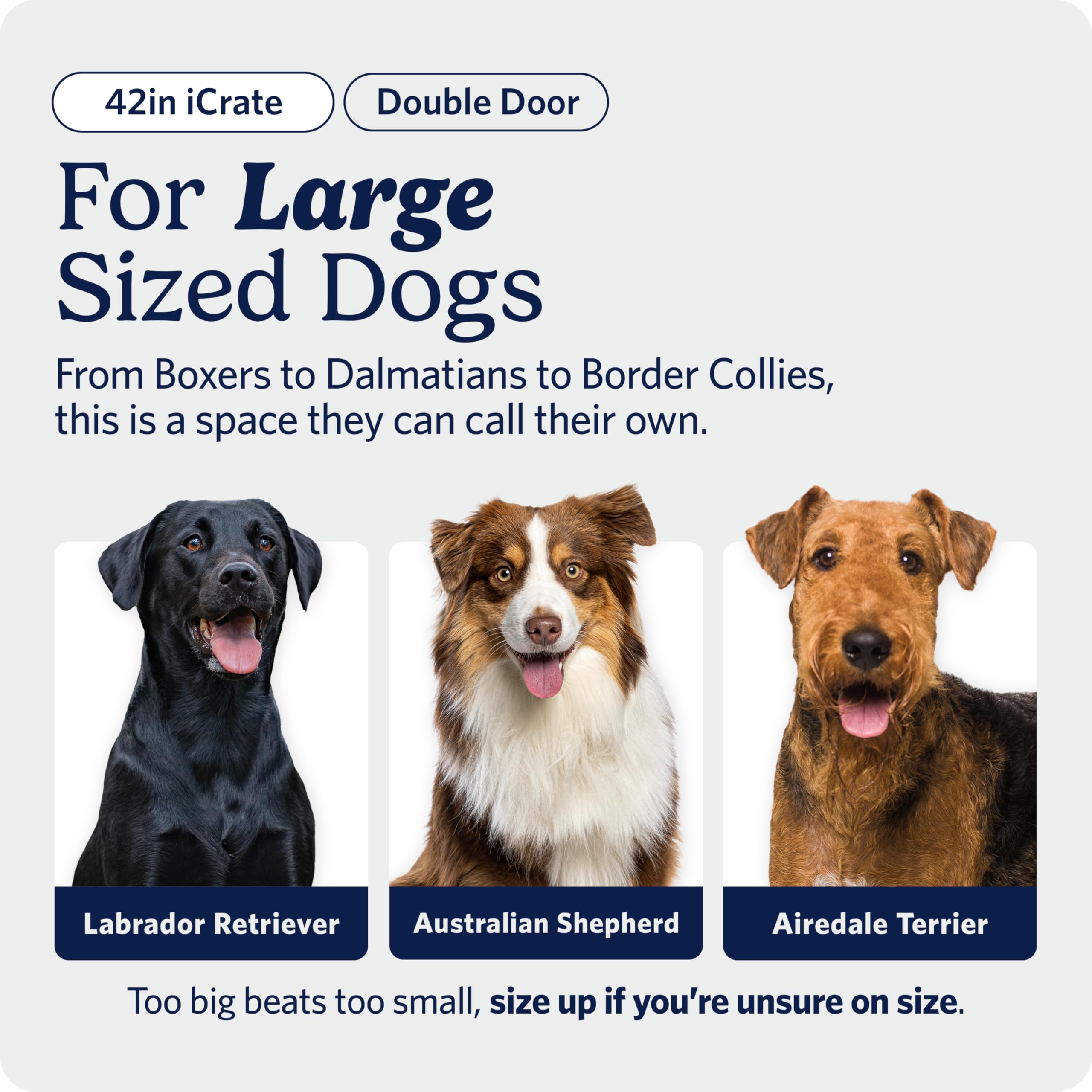 MidWest Homes for Pets 30-Inch iCrate for Medium Breeds, 21-40 lbs, Single Door Folding Dog Crate with Divider Panel, Leak-Proof Tray & Secure Latch, Portable, Durable & Easy to Assemble Gronata