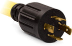 Champion Power Equipment 25-Foot 30-Amp 125/250-Volt Fan-Style Generator Extension Cord (L14-30P to four 5-20R) Gronata