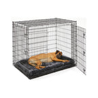 MidWest Homes for Pets 30-Inch iCrate for Medium Breeds, 21-40 lbs, Single Door Folding Dog Crate with Divider Panel, Leak-Proof Tray & Secure Latch, Portable, Durable & Easy to Assemble Gronata