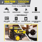 Champion Power Equipment 16,875-Watt Electric Start Home Backup Portable Generator with Free 3-Year Warranty Gronata