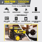 Champion Power Equipment 16,875-Watt Electric Start Home Backup Portable Generator with Free 3-Year Warranty Gronata