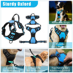 YXFDOYT No Pull Dog Harness Adjustable Collar & Leash Set - Dog Halter Harnesses Collapsible Bowls & Poop Bag Dispenser Muzzle ID Tags Toys Fits Small Medium Large Dogs (Pink-L) Gronata