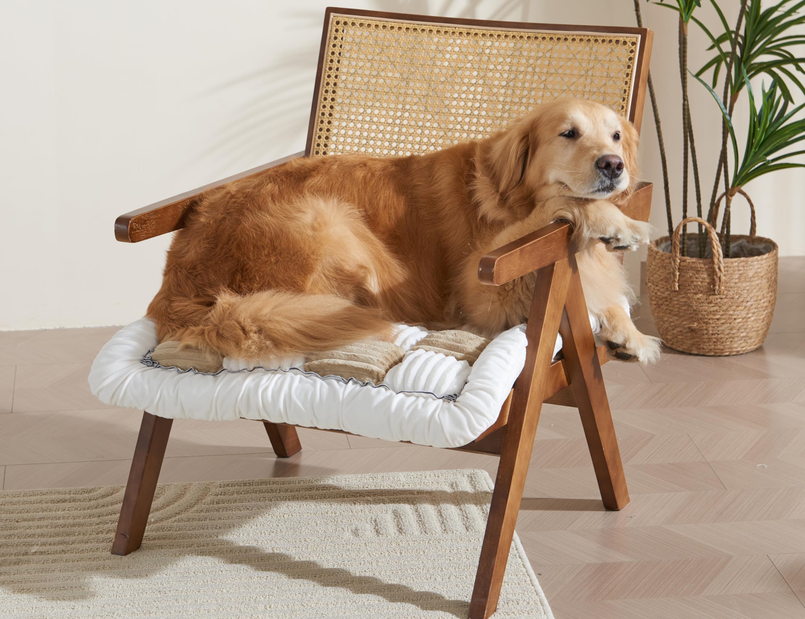 Couch Cushion Cover for dogs Sofa Cover Washable Pet Love Seat Couch Covers for Sofa Slipcovers Couch Protector Blanket for Dogs Sofa Cushion Covers for Pets Washable Pad Black 70x150cm/27.6x59in Gronata