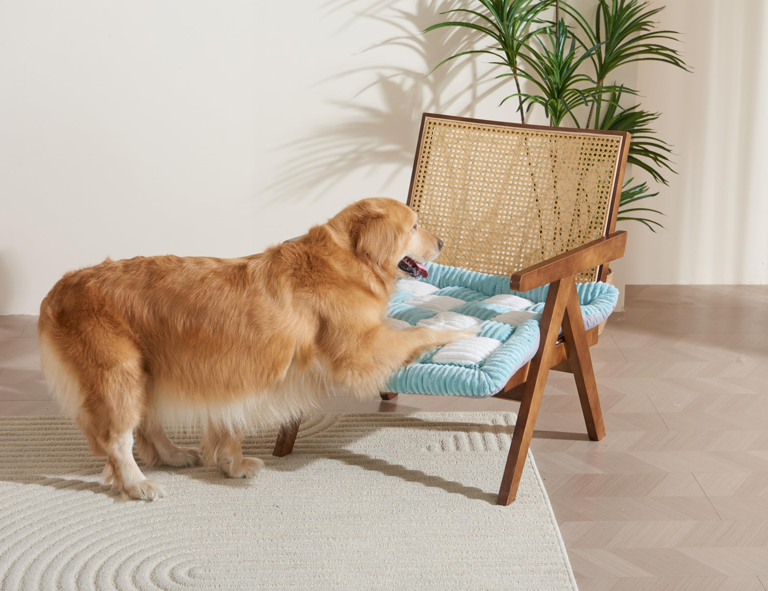 Couch Cushion Cover for dogs Sofa Cover Washable Pet Love Seat Couch Covers for Sofa Slipcovers Couch Protector Blanket for Dogs Sofa Cushion Covers for Pets Washable Pad Black 70x150cm/27.6x59in Gronata