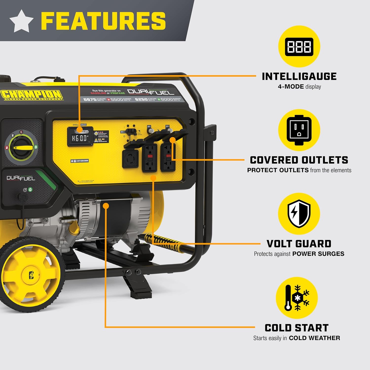 Champion Power Equipment 6875-Watt Dual Fuel Portable Generator with Free 3-Year Warranty Gronata