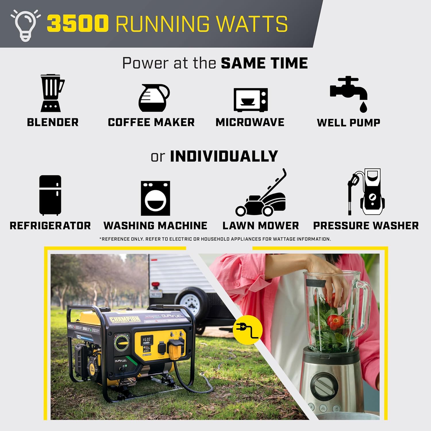 Champion Power Equipment 4375-Watt Dual Fuel RV Ready Portable Generator with Free 3-Year Warranty Gronata