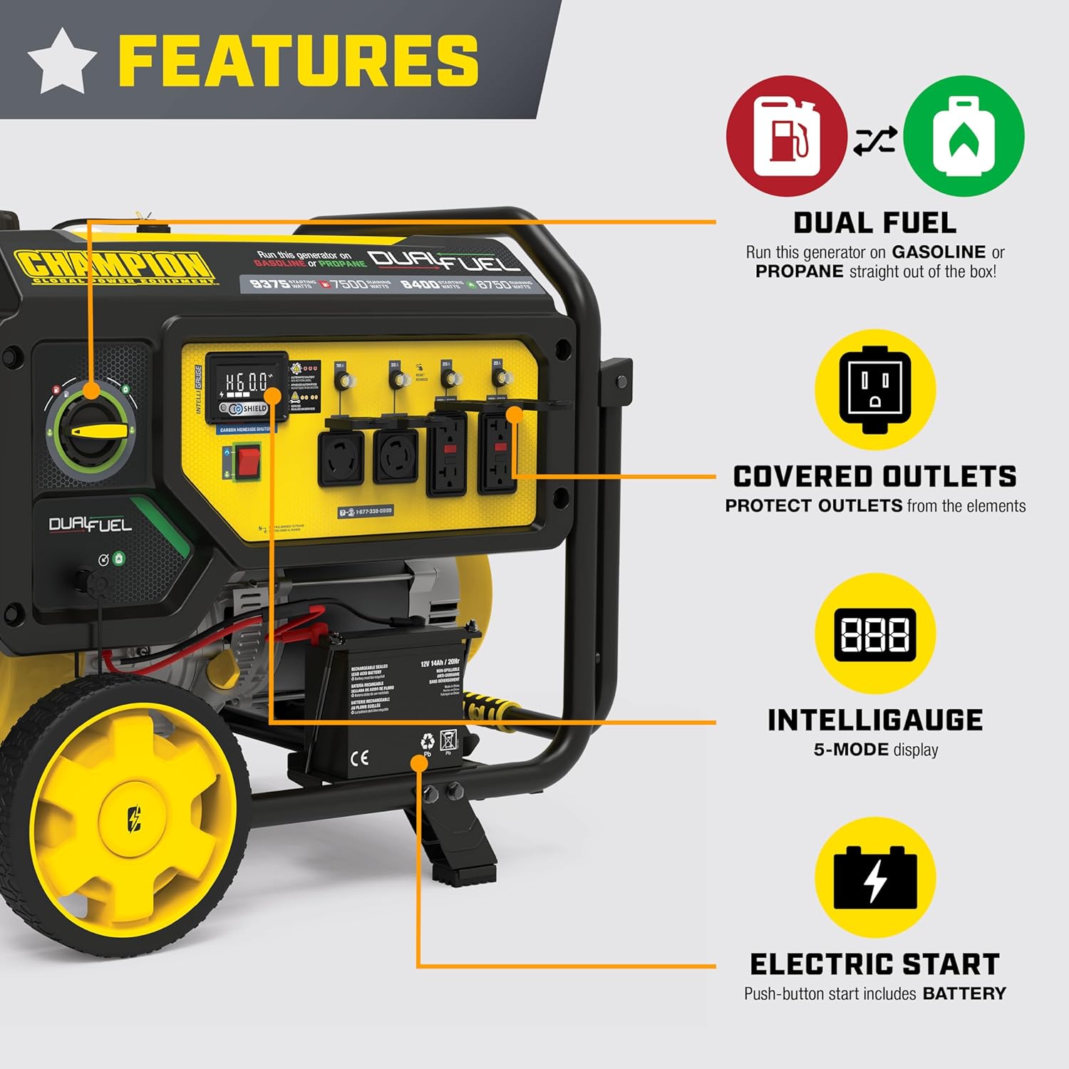 Champion Power Equipment 9375-Watt Dual Fuel Portable Generator with Electric Start and Free 3-Year Warranty Gronata
