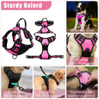 YXFDOYT No Pull Dog Harness Adjustable Collar & Leash Set - Dog Halter Harnesses Collapsible Bowls & Poop Bag Dispenser Muzzle ID Tags Toys Fits Small Medium Large Dogs (Pink-L) Gronata