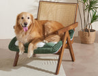 Couch Cushion Cover for dogs Sofa Cover Washable Pet Love Seat Couch Covers for Sofa Slipcovers Couch Protector Blanket for Dogs Sofa Cushion Covers for Pets Washable Pad Black 70x150cm/27.6x59in Gronata