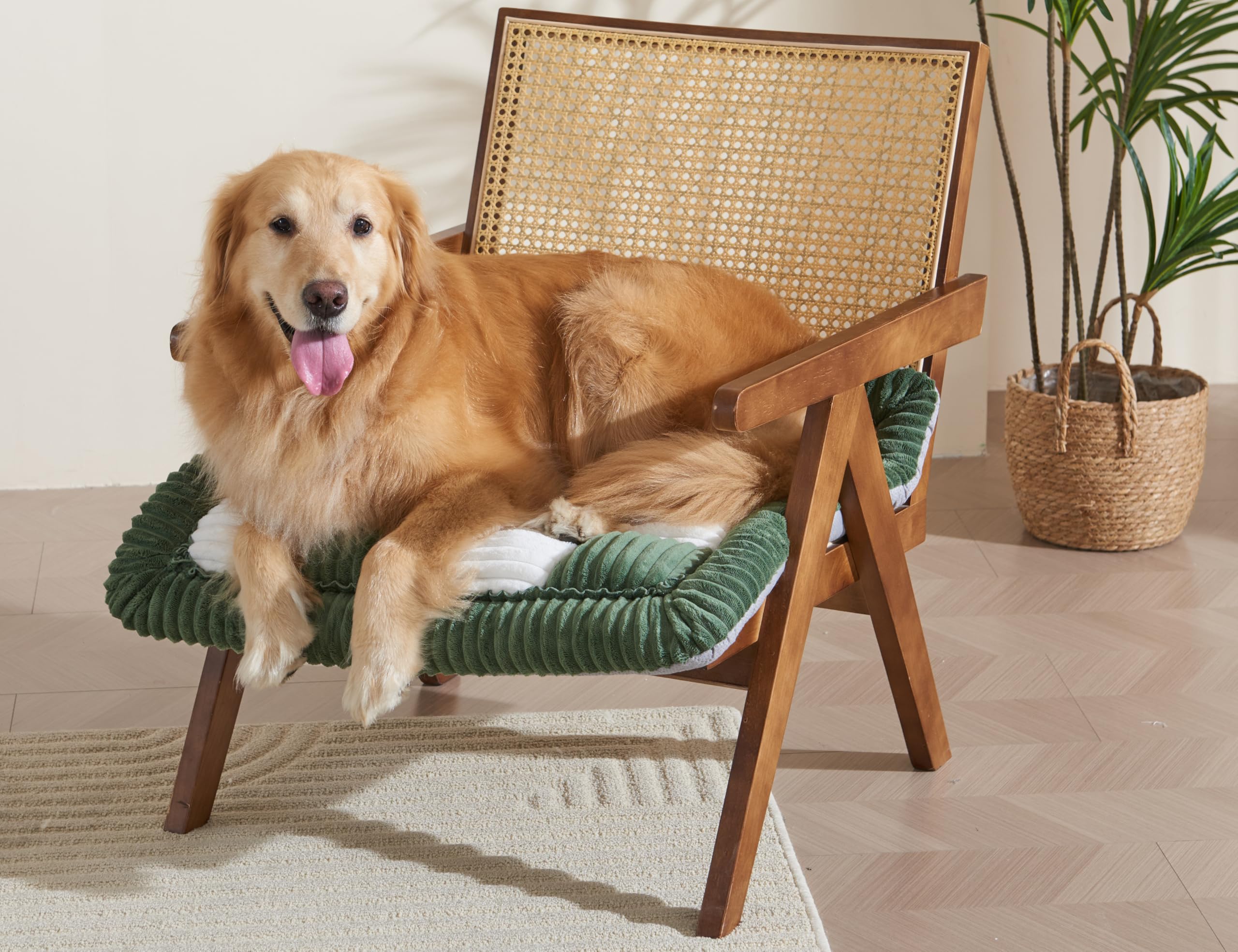Couch Cushion Cover for dogs Sofa Cover Washable Pet Love Seat Couch Covers for Sofa Slipcovers Couch Protector Blanket for Dogs Sofa Cushion Covers for Pets Washable Pad Black 70x150cm/27.6x59in Gronata