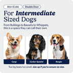 MidWest Homes for Pets 30-Inch iCrate for Medium Breeds, 21-40 lbs, Single Door Folding Dog Crate with Divider Panel, Leak-Proof Tray & Secure Latch, Portable, Durable & Easy to Assemble Gronata