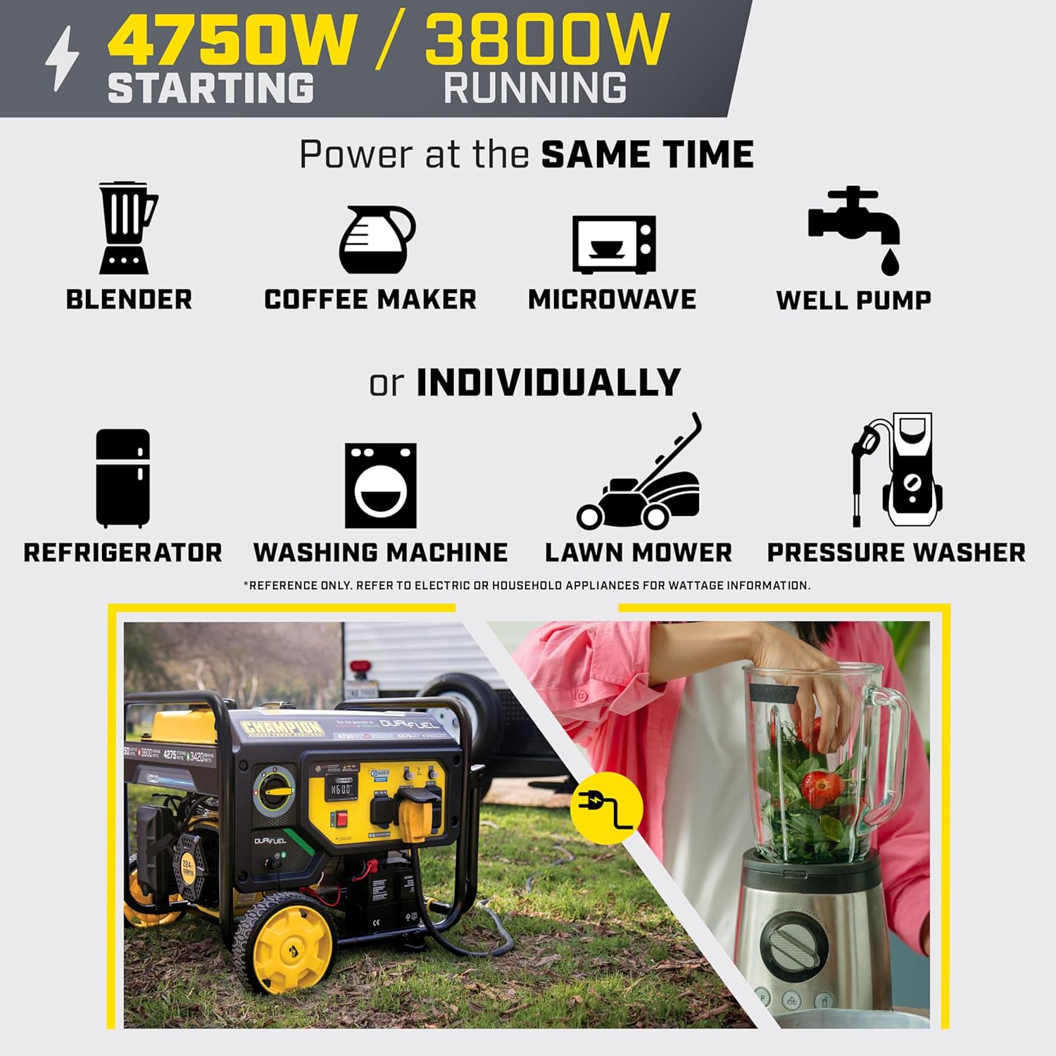 Champion Power Equipment 4750-Watt Electric Start Dual Fuel RV Ready Portable Generator with CO Shield, CARB Compliant Gronata