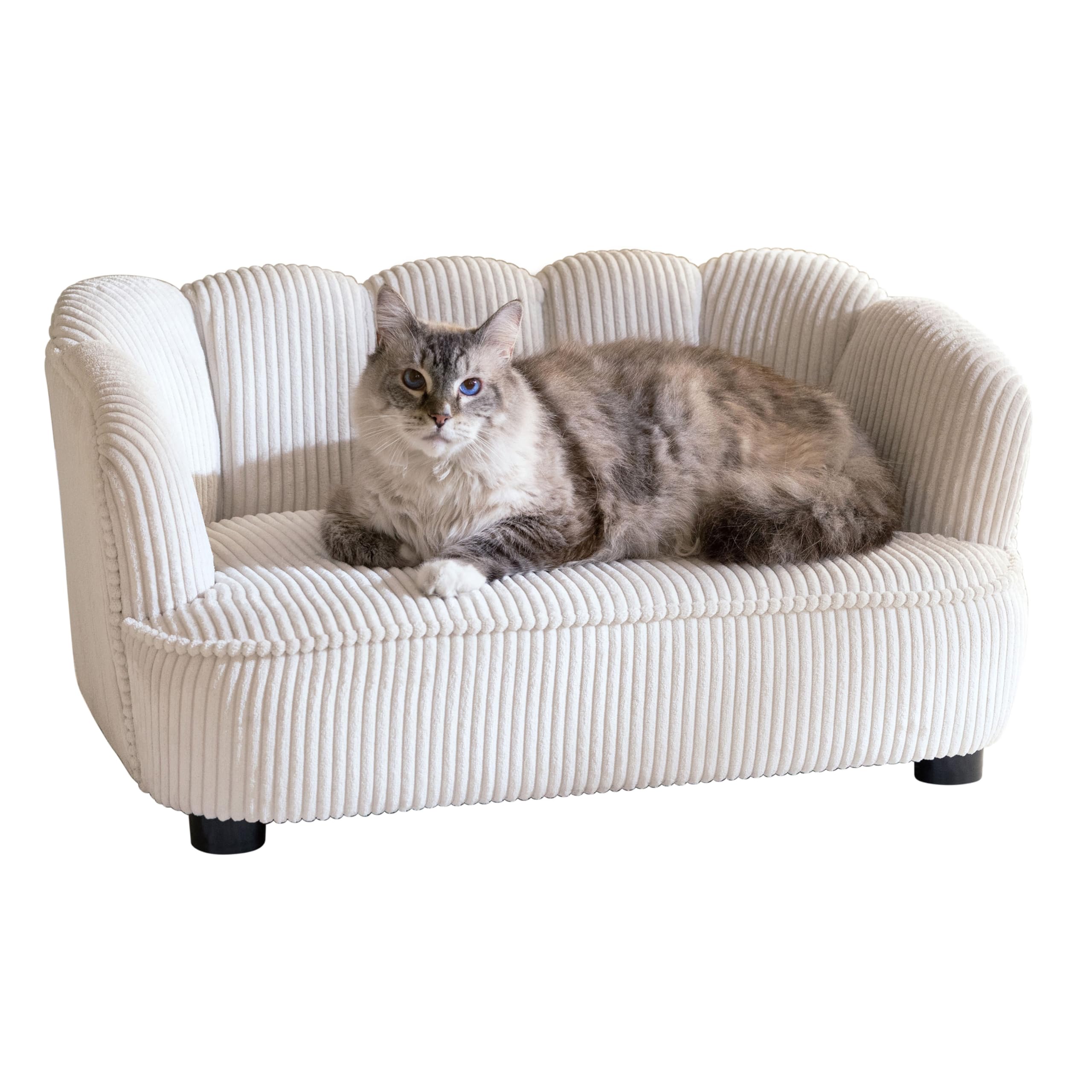 Paws & Purrs Retro Scalloped Back Sofa Style Pet Bed, Dog & Cat Couch with Tufted Cushion & Armrest, Stylish Indoor Pet Furniture, Sage Gronata
