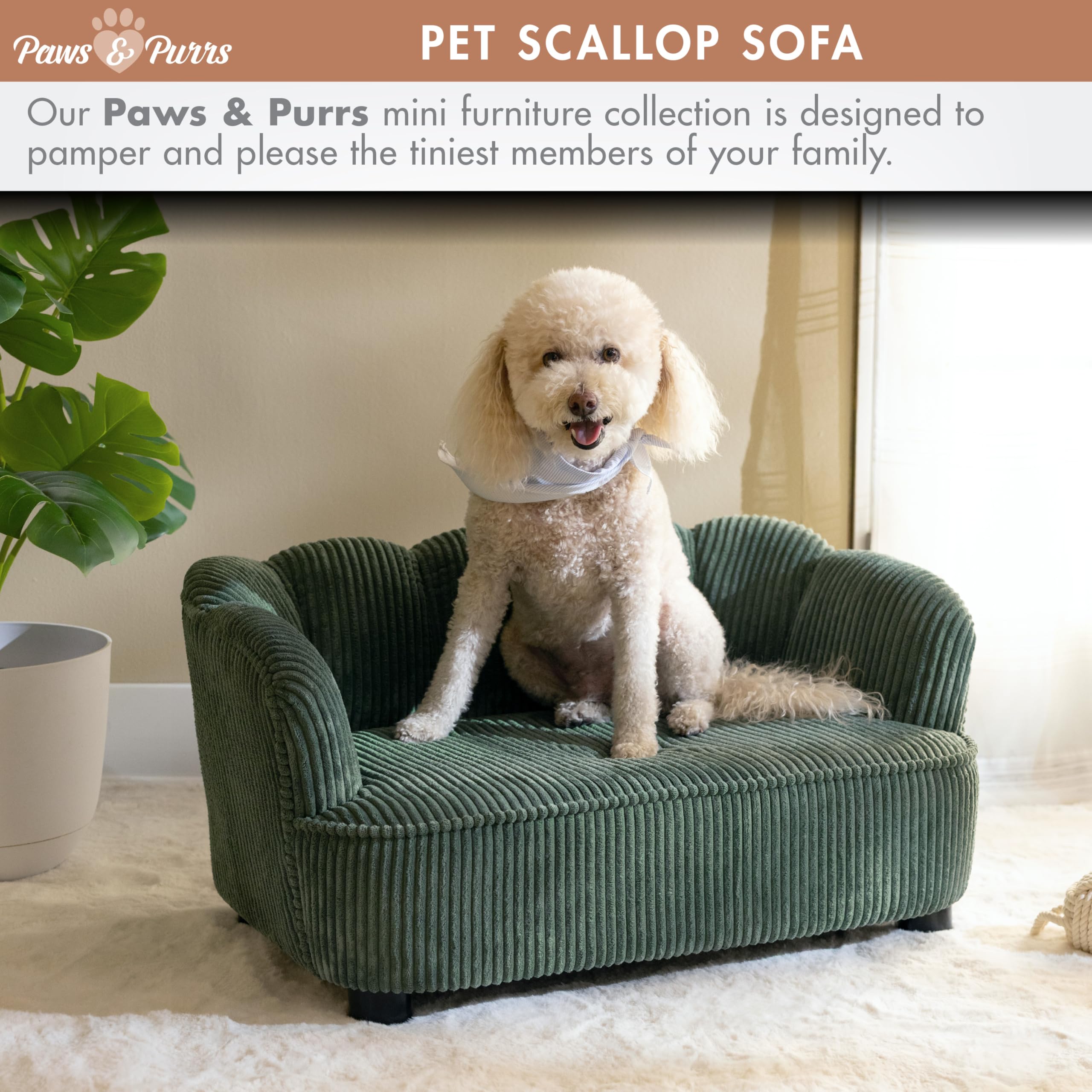 Paws & Purrs Retro Scalloped Back Sofa Style Pet Bed, Dog & Cat Couch with Tufted Cushion & Armrest, Stylish Indoor Pet Furniture, Sage Gronata