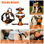 YXFDOYT No Pull Dog Harness Adjustable Collar & Leash Set - Dog Halter Harnesses Collapsible Bowls & Poop Bag Dispenser Muzzle ID Tags Toys Fits Small Medium Large Dogs (Pink-L) Gronata