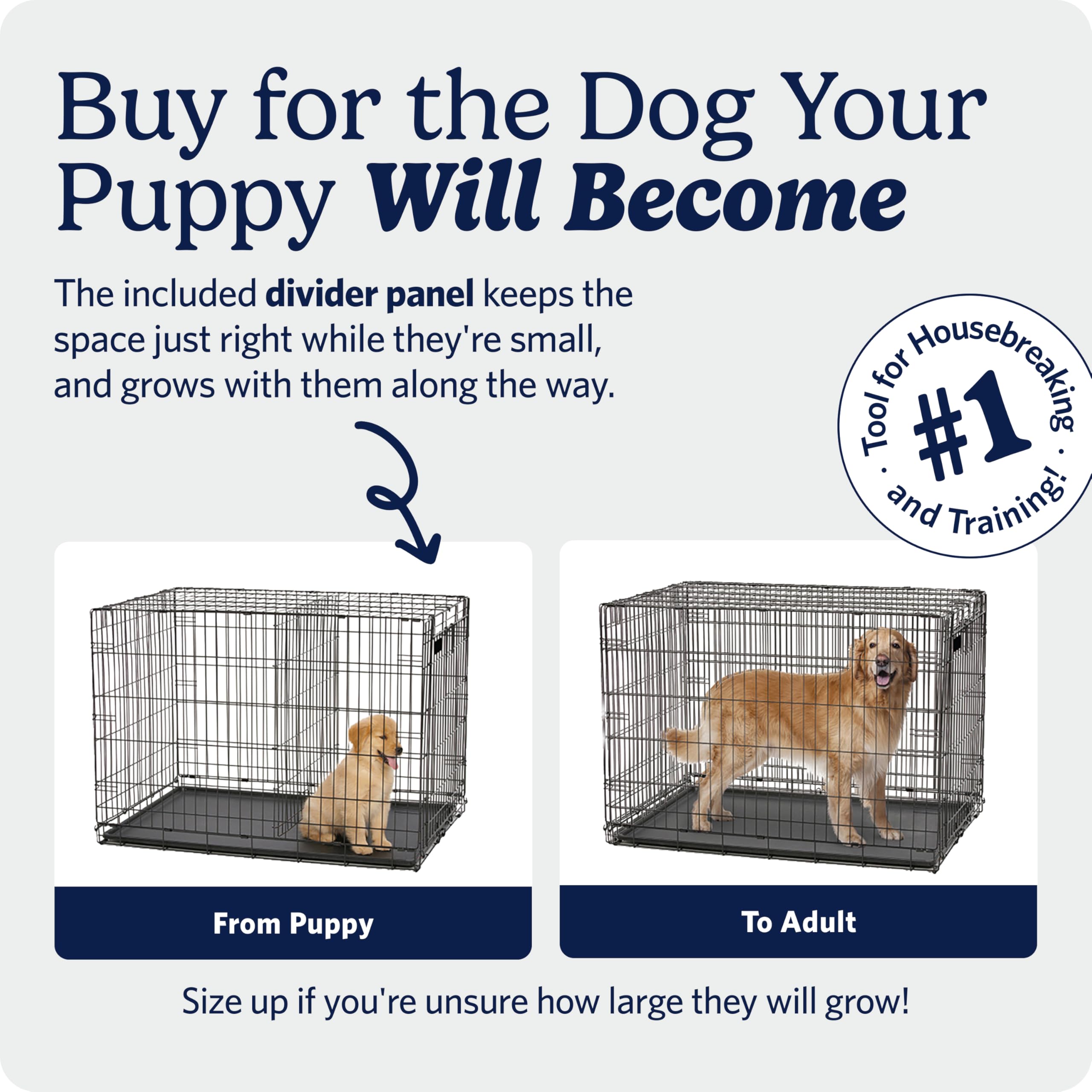 MidWest Homes for Pets 30-Inch iCrate for Medium Breeds, 21-40 lbs, Single Door Folding Dog Crate with Divider Panel, Leak-Proof Tray & Secure Latch, Portable, Durable & Easy to Assemble Gronata