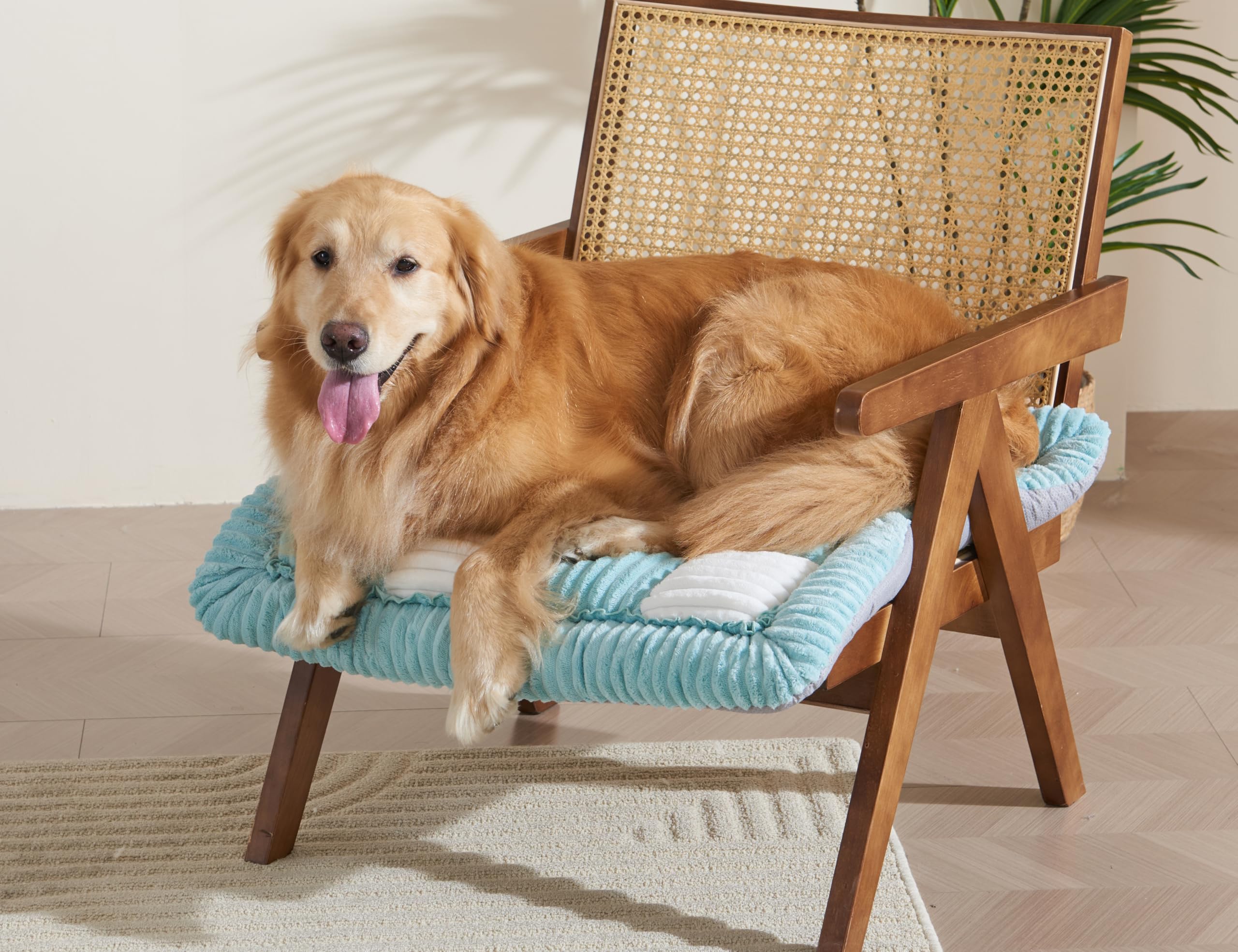 Couch Cushion Cover for dogs Sofa Cover Washable Pet Love Seat Couch Covers for Sofa Slipcovers Couch Protector Blanket for Dogs Sofa Cushion Covers for Pets Washable Pad Black 70x150cm/27.6x59in Gronata